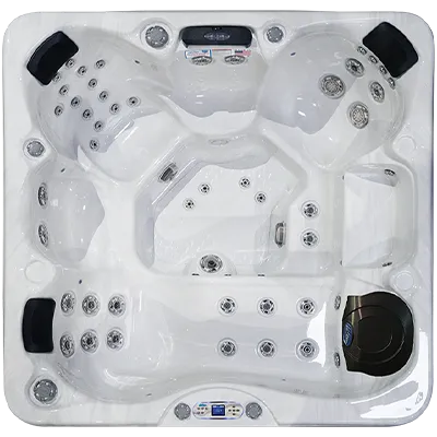 Avalon EC-849L hot tubs for sale in St Clair Shores